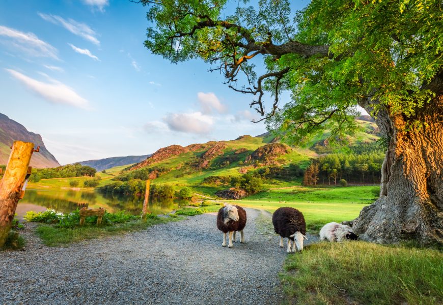 England Destination Guide