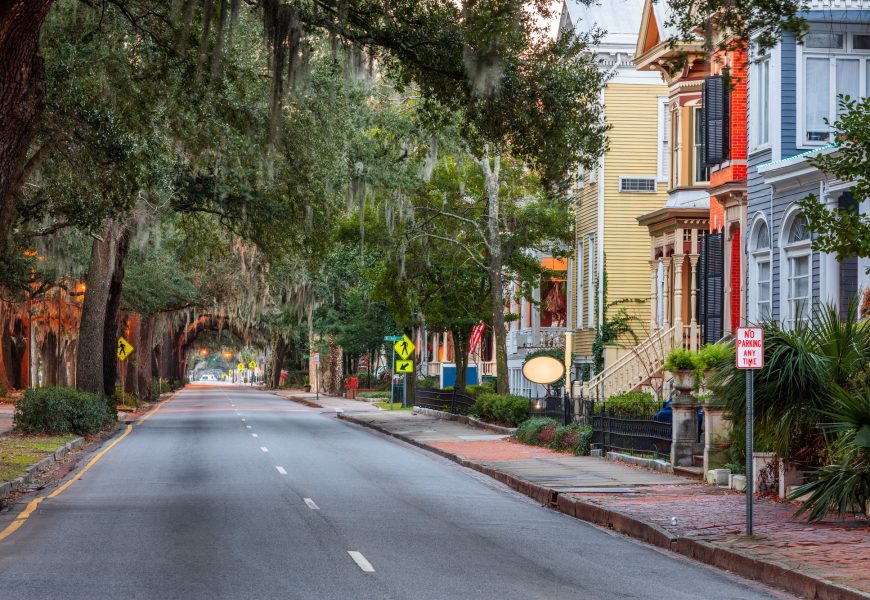 Georgia Destination Guide