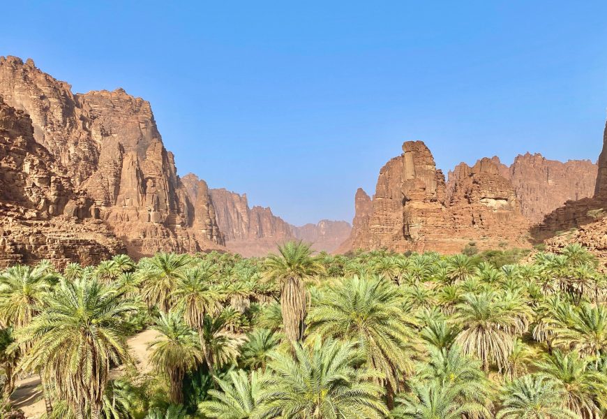 Saudi Arabia Destination Guide