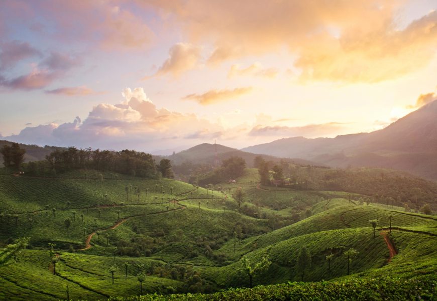 India Destination Guide